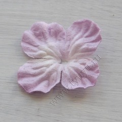 Гортензия волнистая 2,5 см, цвет в ассортименте
