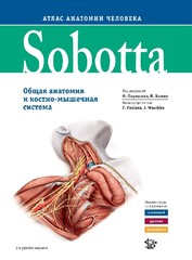 Sobotta. Атлас анатомии человека. Том 1. Общая анатомия и костно-мышечная система