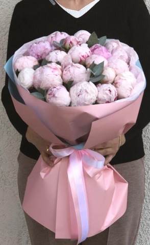 ჰოლანდიური პიონები