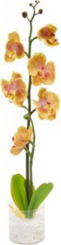 Декоративный светильник «Орхидея»,желтые цветы, PL307 (Feron)