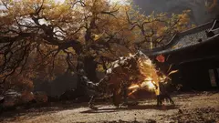 Black Myth: Wukong (PS5, интерфейс и субтитры на русском языке) [услуга выкупа игры в аккаунт PSN Украина]