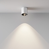 Потолочный светильник Maytoni Alfa led C064CL-5W4K-RD-WB
