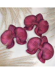 Молд пластиковый Набор 