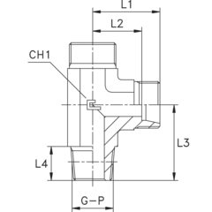 Штуцер FLC DL10 BSPT 1/4" (корпус) CAST