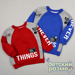 Свитшот