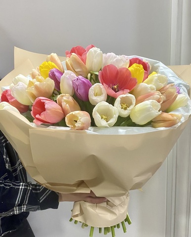 Bouquet of Tulips