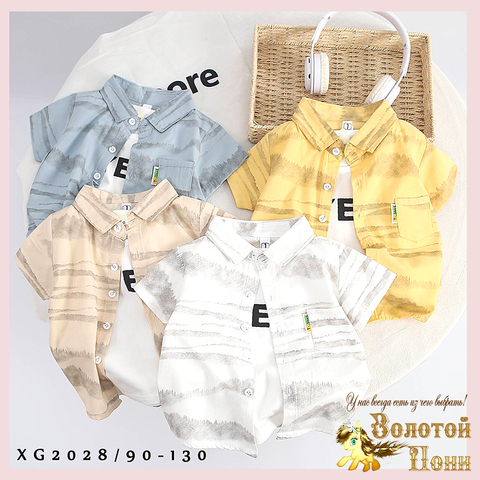 Рубашка хлопок м (1-5) 250416-XG2028