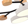 Светильник потолочный Evoluce Faema SLE6006-502-05