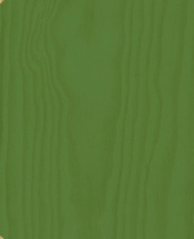 морилка спиртовая зеленая трава 55мл, ProArt