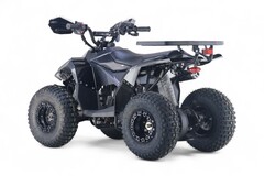 Детский бензиновый квадроцикл RiverToys LEON с электростартером