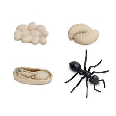 Набор фигурок Жизненный цикл муравья, Safari Ltd.
