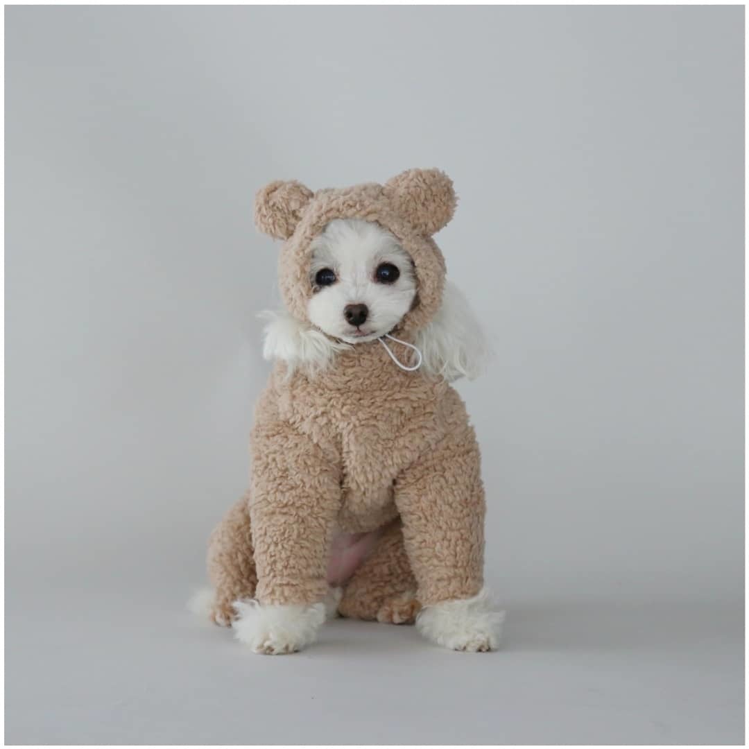 одежда для собак BorisHouse