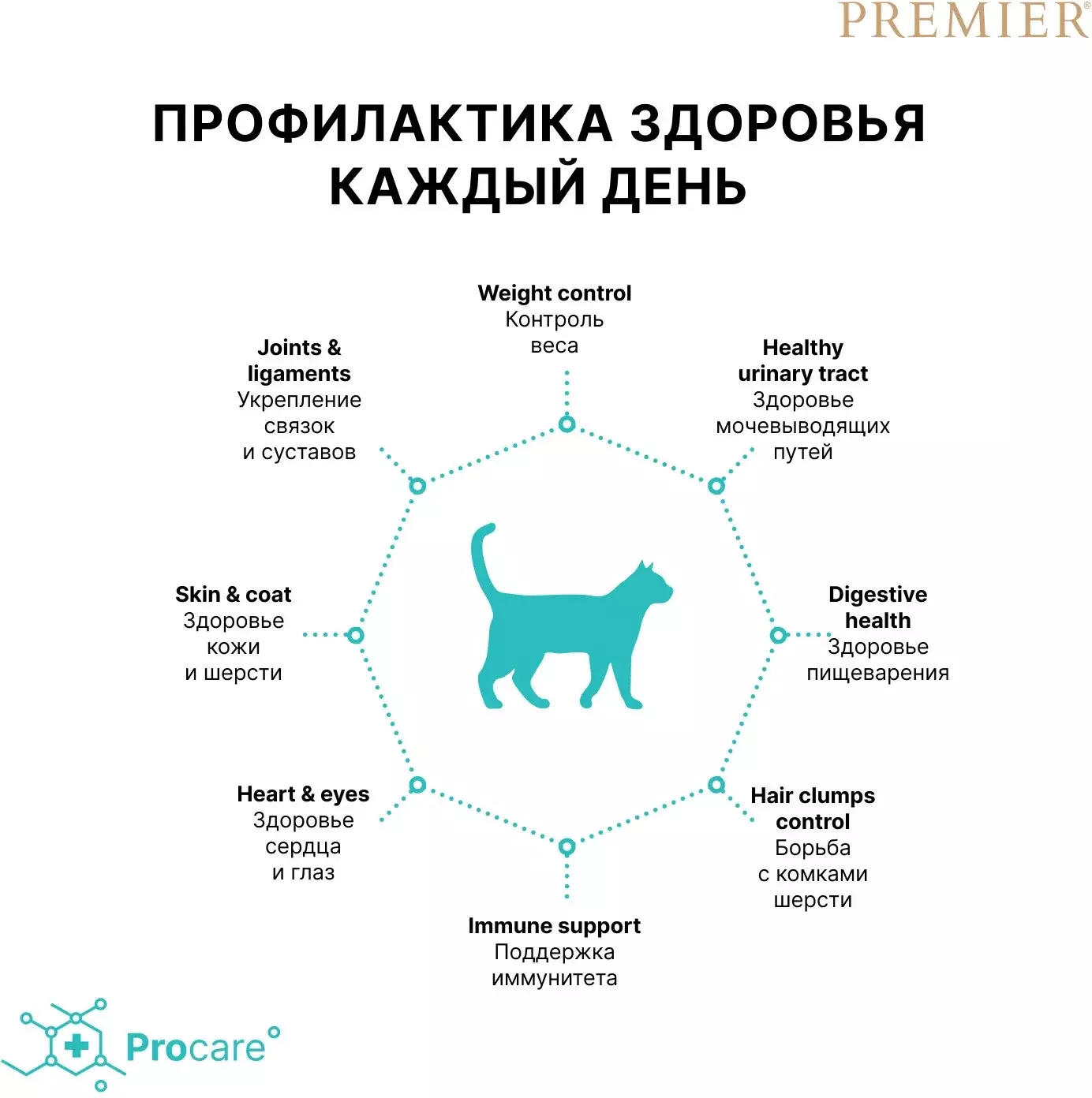 Сухой корм Premier ягненок с индейкой для стерилизованных кошек купить с  доставкой в интернет-магазине зоогастроном.ру