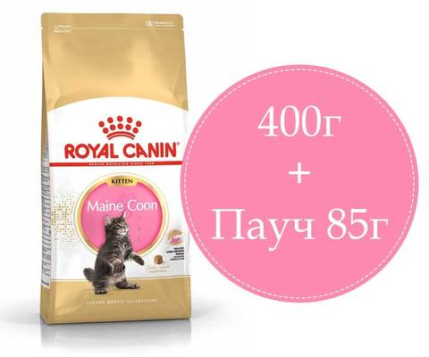 ПРОМО! Royal Canin Kitten Maine Coon корм для котят породы мейн-кун 400г + пауч 85г