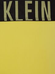 Боксерки Calvin Klein Intense Power Hip Brief 2P - black/mesquite lime
