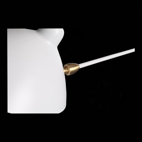 Светильник настенный ST Luce Spruzzo SL305.501.01