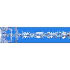 Мастурбатор Fleshlight Turbo Core