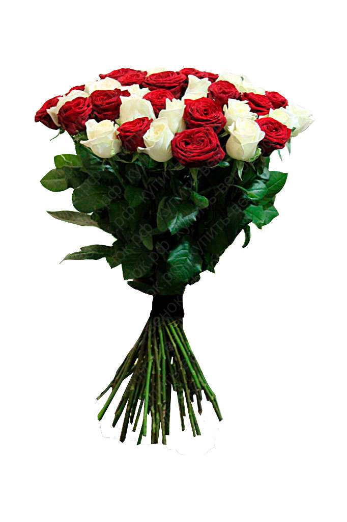 Букет цветов купить онлайн цветы подвесные в горшках купить