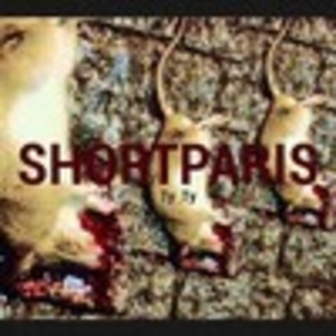 Shortparis - Дискография - 7 релизов - 2013-2019