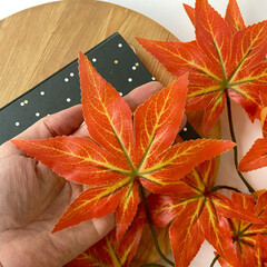 Листья клена ТЕМНО-ОРАНЖЕВЫЕ на ветке 70 см, листья 10-14 см, набор 2 шт.