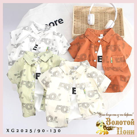 Рубашка хлопок м (1-5) 250416-XG2025