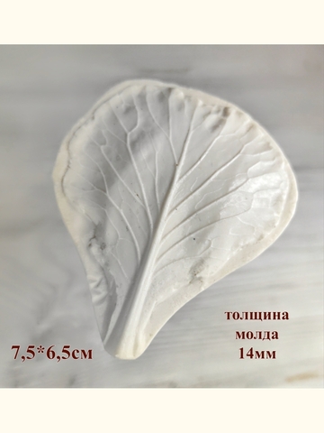 Молд 