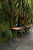 Стул пластиковый Scab Design Hug Go Green, оливковый