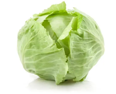 Капуста белокочанная