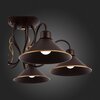 Люстра потолочная Evoluce Ciolla SLE120402-05