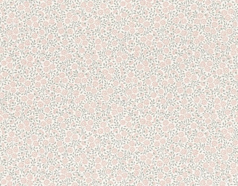 253139 Rasch (Bambino XIX) 10.05x0.53
