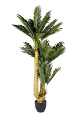 Пальма 160см Garda Decor Cycas 29BJ-695-37