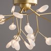 Потолочный светильник Freya Florencia FR5049CL-27G