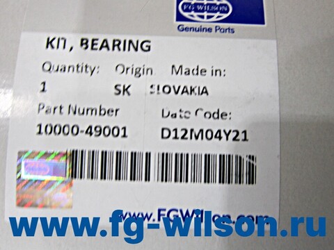 Вкладыши коренные коленчатого вала / KIT, BEARING АРТ: 10000-49001