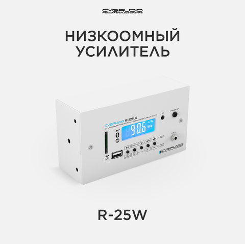 CVGAUDIO R-25W Усилитель 4-8ohm