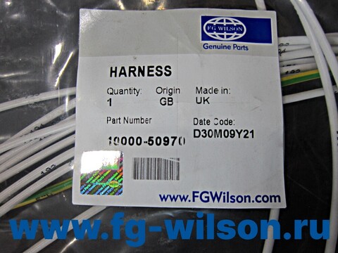 Проводка / HARNESS(easygen harness) АРТ: 10000-50970