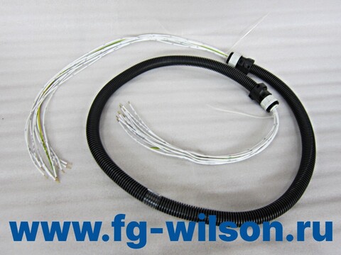 Проводка / HARNESS(easygen harness) АРТ: 10000-50970