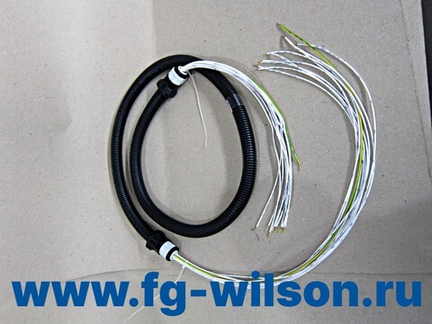 Проводка / HARNESS(easygen harness) АРТ: 10000-50970