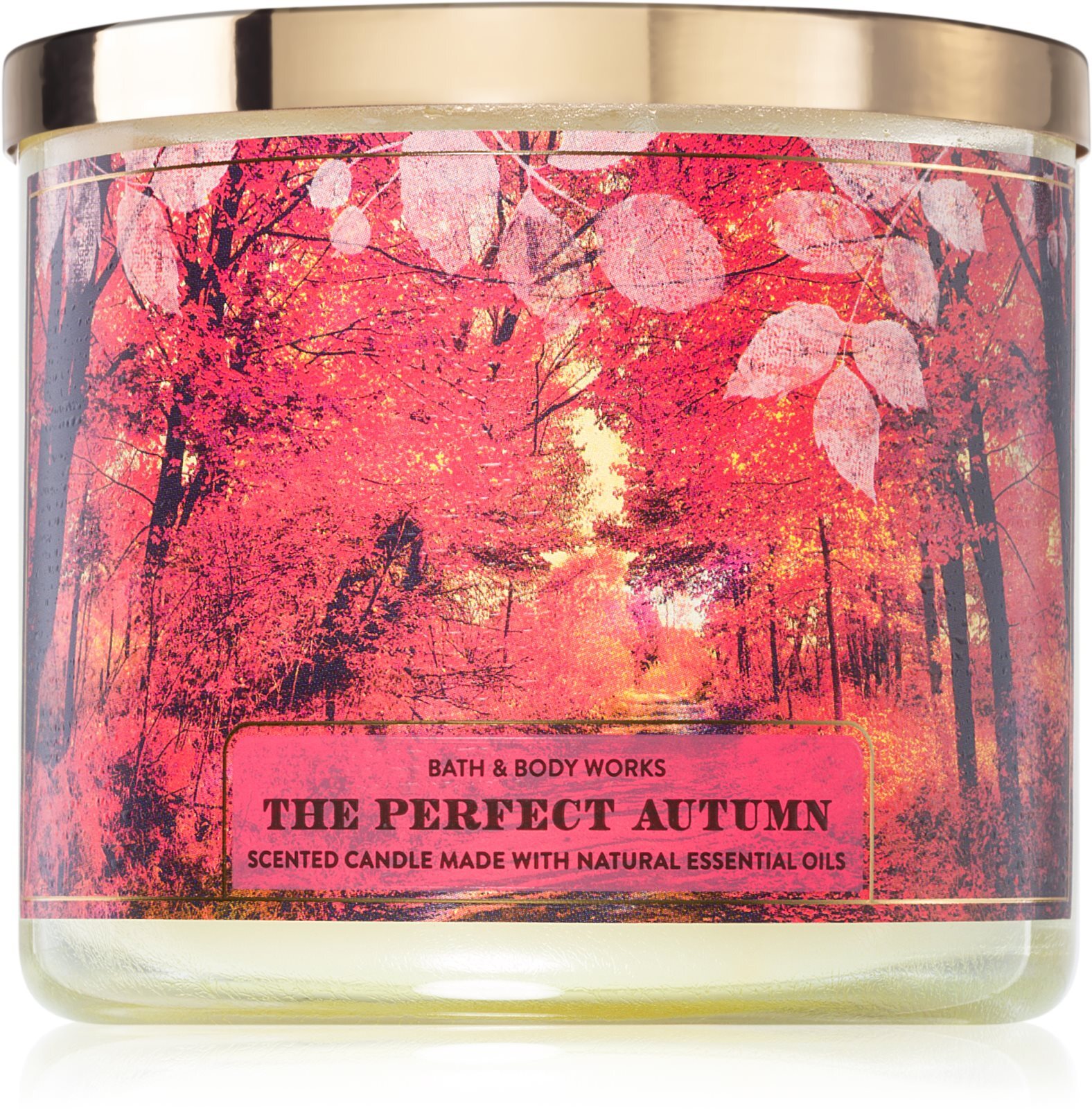 Bath & Body Works ароматическая свеча The Perfect Autumn купить в Москве |  Доставка по России.