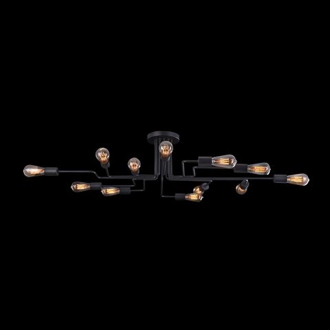 Потолочный светильник Maytoni Gilbert T532CL-12B