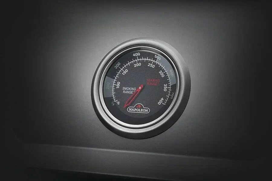 Газовый гриль Napoleon Freestyle 365 SIB D (с дверкой)