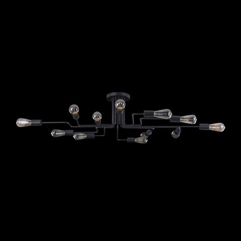Потолочный светильник Maytoni Gilbert T532CL-12B