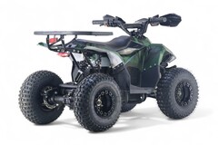 Детский электрический квадроцикл RiverToys LEON 1200W
