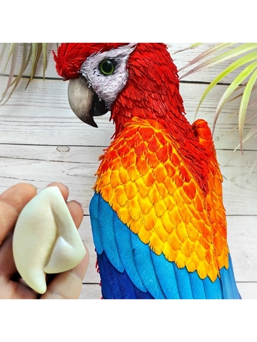 Вайнер клюв попугая 