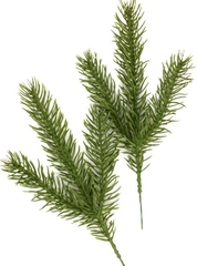 Ветка еловая зелёная 25 см