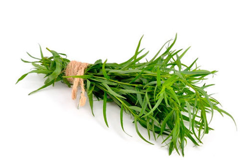 Эстрагон, 50г