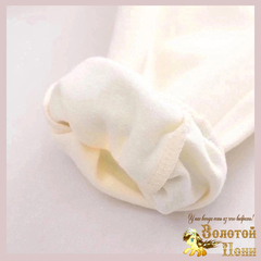 Костюм хлопок м (1-5) 241217-W4002