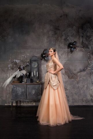 Fall/Winter 2016 Limited edition