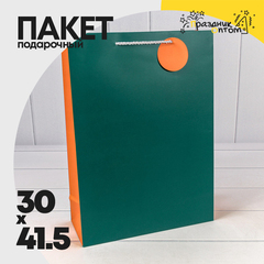 
          Пакет подарочный 30х41.5х12см Премиум (Зеленый, Синий)