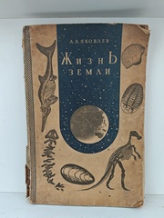 Жизнь Земли