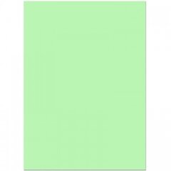 Бумага цветная для офиса А4, 20л., Пастель "Зеленый ", Alingar, 70г/м2, пленка т/у